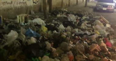  انتشار القمامة بشارع شكرى القوتلى بالمحلة يسبب أزمة للأهالى