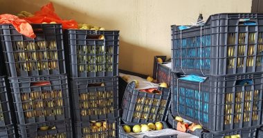 إحباط تهريب كمية كبيرة من الحشيش والكبتاجون داخل شحنة تفاح بميناء دمياط 