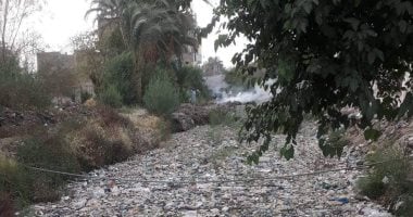  صور .."اضبط مخالفة" حيوانات نافقة تسبح بترعة الزوايدة بقنا