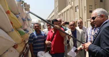 صوامع الجيزة تستقبل 202 ألف طن قمح خلال شهر مايو الماضى