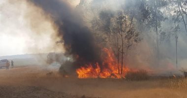 الدفاع المدنى بالوادى الجديد يسيطر على حريق بمزرعة فى قرية بدخلو دون إصابات