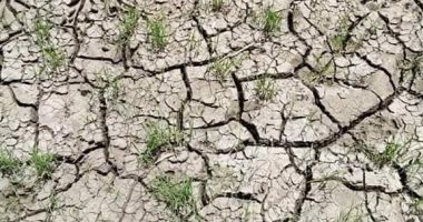 4 قرى بأسيوط تعانى من نقص مياه الرى.. والأهالى يستغيثون: الأرض هتبور