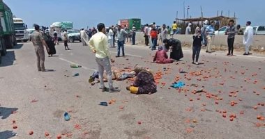 إصابة 14 شخصاً بعد انقلاب سيارة "ربع نقل" على الطريق الدولى بكفر الشيخ