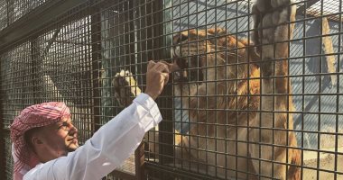 لابس جلابية بيضا وبيأكل أسد.. شوف جولة دانى درينكواتر لاعب تشيلسى فى دبى