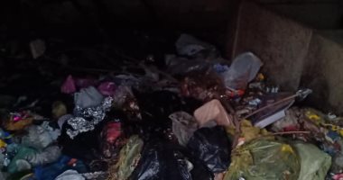 اضبط مخالفة.. سنترال قرية الجديدة بالشرقية يتحول إلى مقلب زبالة.. صور