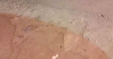 تهالك الطرق بمنطقة منيال الروضة يؤرق الأهالى