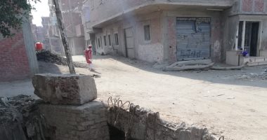 شكوى من عدم وجود أعمدة إنارة بعزبة الشوادفى بالشرقية