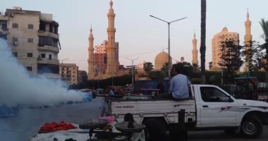 رش شوارع دسوق لمكافحة البعوض وإزالة تعديات على أراضى الزراعية بكفر الشيخ