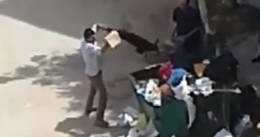 شكوى من تعذيب الكلاب بمنطقة مساكن ضباط طوسون بالإسكندرية