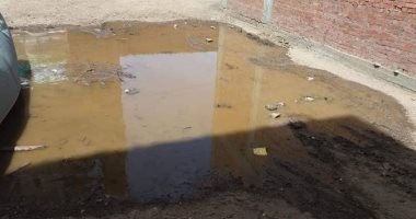 غرق شارع أبو هرجة بالمحلة الكبرى بمياة الصرف الصحى