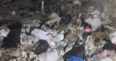  صور.. شكوى من انتشار القمامة بحوش عيسى بالبحيرة 