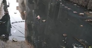 مياه الصرف الصحى تغلق شارع رئيسى بالمحلة الكبرى