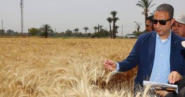 محافظ سوهاج : توريد 121 ألف و 286 طن قمح للصوامع والشون