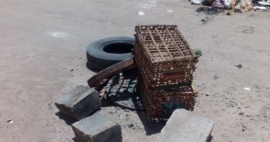 بالوعة صرف بدون غطاء تهدد المارة فى شارع المعسكر بالغردقة