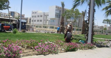 صور.. شاهد محافظة البحر الأحمر تجمل طريق عبد المنعم رياض بالنباتات الصيفية 