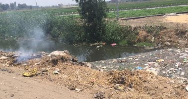 اضبط مخالفة الحيوانات النافقة والقمامة تغطى مصرف قطور بالغربية