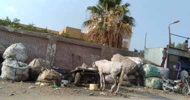 صور.. اضبط مخالفة.. القمامة تحاصر مدارس شبرا الخيمة