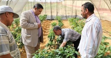 صور.. لأول مرة .. مدارس الوادى الجديد تحصد بشائر انتاج الصوب الزراعية