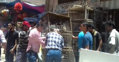 صور..  حملات إزالة اشغالات وحملات نظافة بكفر الشيخ