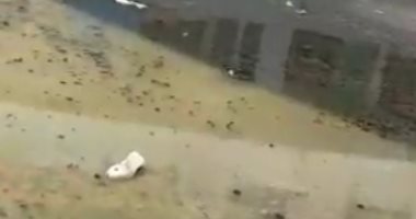 شكوى من انتشار مياه الصرف الصحى بمنطقة السيدة خديجة بورسعيد