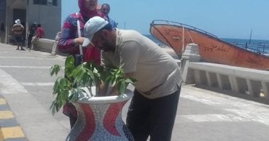 صور.. تزيين كورنيش الإسكندرية لاستقبال وفود كأس الأمم الأفريقية