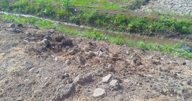 صور.. أهالى قرية ترعة البطيخ بالشرقية يشكون نقص مياه الرى وبوار أرضهم
