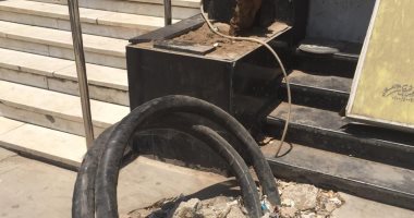 كابل كهرباء مكشوف يهدد سكان شارع على أمين بالمنطقة الأولى بمدينة نصر