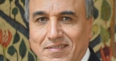 عبد المحسن سلامة: نشهد طفرات هائلة لتكون لدينا دولة حقيقية متماسكة