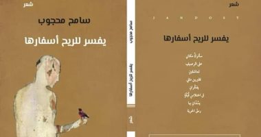 قرأت لك.. "يفسر للريح أسفارها".. ديوان من دم ولحم العالم