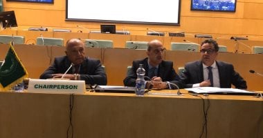 وزير الخارجية: العودة إلى الحوار الشامل السبيل الوحيد لحل الأزمة بالسودان.. "شكرى": الخلاف بين الأشقاء لن يفضى إلى الحل المنتظر لبناء مستقبل جديد..وندعو لبلورة تصور يدعم جهود إعادة بناء الثقة بين الأطراف