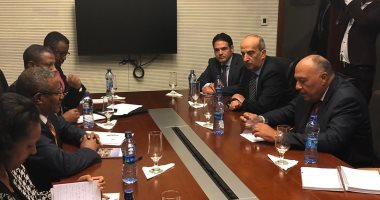 شكرى يبحث مع نظيره الإثيوبى تطورات العلاقات الثنائية ومفاوضات سد النهضة