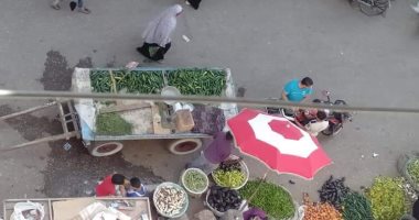 قارئ يشكو من انتشار الباعة الجائلين بمنطقة منشية النور فى بنها