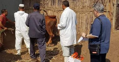 بيطرى المنوفية يطلق الحملة القومية للحمي القلاعية والوادي المتصدع