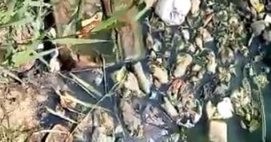 شكوى من إلقاء أهالى شارع مصطفى النحاس بالجيزة مياه الصرف الصحى بالترعة