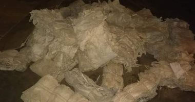 جمارك قسطل تحبط تهريب جلود ثعابين وورل جنوب أسوان.. صور