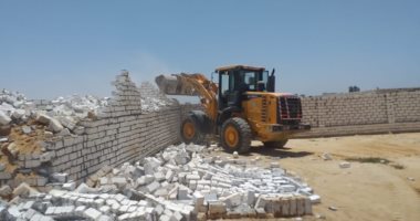 صور ..حملة إزالة تعدى على أراضى أملاك الدولة بمدينة برج العرب بالإسكندرية