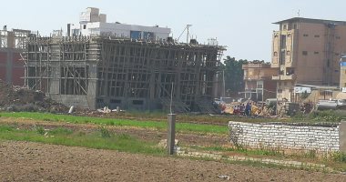 صور.. اضبط مخالفة.. البناء المخالف والتعدى على الرقعة الزراعية بأول المحلة
