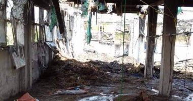 نفوق 300 كتكوت إثر حريق بمزرعة دواجن فى طوخ