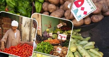 نشر لجان متخصصة لمتابعة 17 صنف خضراوات لمواجهة المناخ المتغير وزيادة المعروض بالأسواق.. والطماطم والبطاطس والخيار بالمقدمة.. و"الزراعة": حملات مرورية لرصد أى حالات مرضية.. وتؤكد: غرف مركزية لتلقى الشكاوى