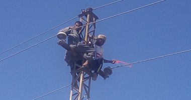 صور.. كلابشة أسوان تطلق التيار الكهربائى بالكابلات الأرضية الجديدة