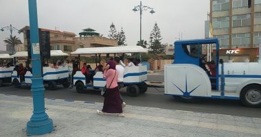 هل يتم تعميم الطفطف بالأحياء وتشغيله فى السيدة زينب؟.. مصادر: تم التأجيل للدراسة