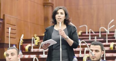 النائبة سها سعيد: نحتاج لتفعيل دور الرائدات الريفيات لمواجهة ظاهرة ختان الإناث