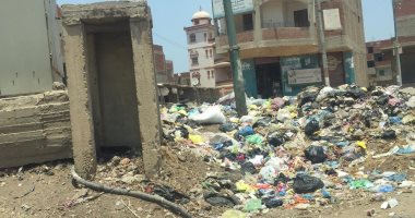 اضبط مخالفة.. تراكم القمامة بجوار كشك كهرباء ينذر بكارثة بالغربية "صور"