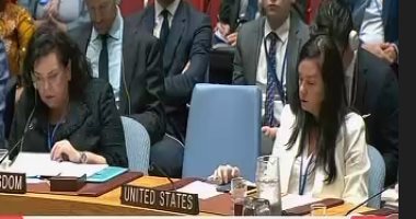 مجلس الأمن الدولى يطالب بحكومة انتقالية في السودان