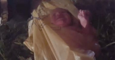فيديو.. مأساة طفل فى كيس بلاستيك.. العثور على رضيع وحيدا بغابة أمريكية