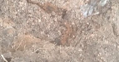 سائق يقتل صديقه بعد اكتشافه علاقته العاطفية بزوجة عمه