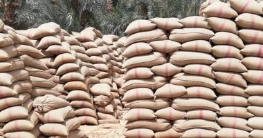 صور.. توريد 156 ألفا و413 طن قمح لشون وصوامع أسيوط