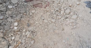 صور.. قارئ يطالب برصف شارع سعد الله بالعجمى بالإسكندرية
