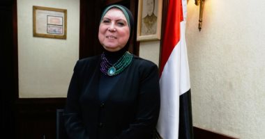 نيفين جامع : نسعى لزيادة التعاون مع كوريا فى قطاع المشروعات الصغيرة  