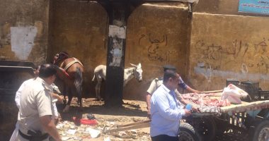 إزالة 180 حالة إشغال فى حملة مكبرة بشارع المطار بمدينة أسوان صور